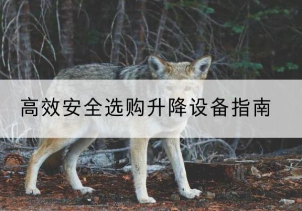 复兴升降货梯厂家推荐-*安全选购升降设备指南