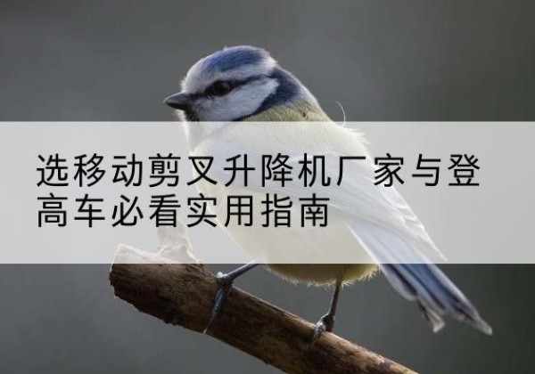 复兴电动升降机厂家-选移动剪叉升降机厂家与登高车必看实用指南