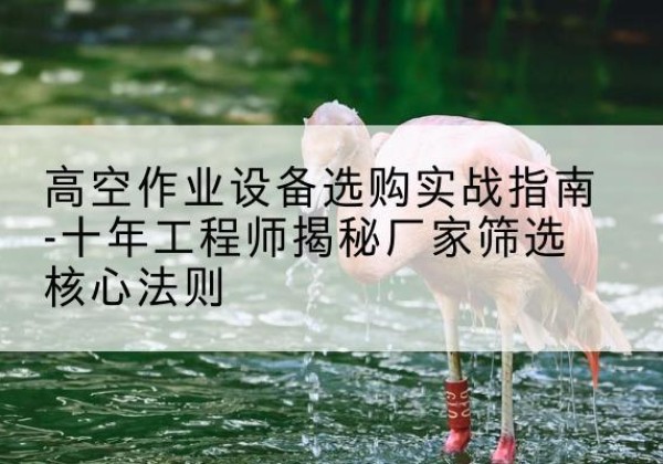 复兴剪叉式升降机厂家-高空作业设备选购实战指南-十年工程师揭秘厂家筛选核心法则